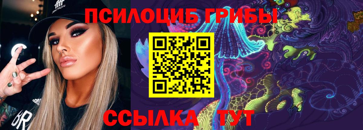 Нарткала  Галлюциногенные грибы Psilocybine cubensis  Вход с VPN  Галлюциногенные грибы прущие грибы 